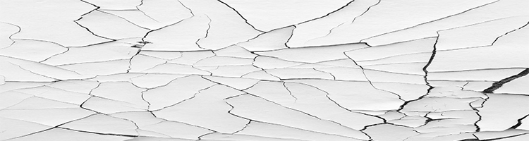 The Great White Debacle