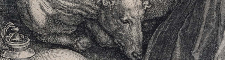 Durer&Detail